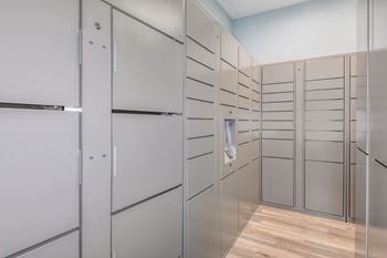 Centrally located electronic package lockers